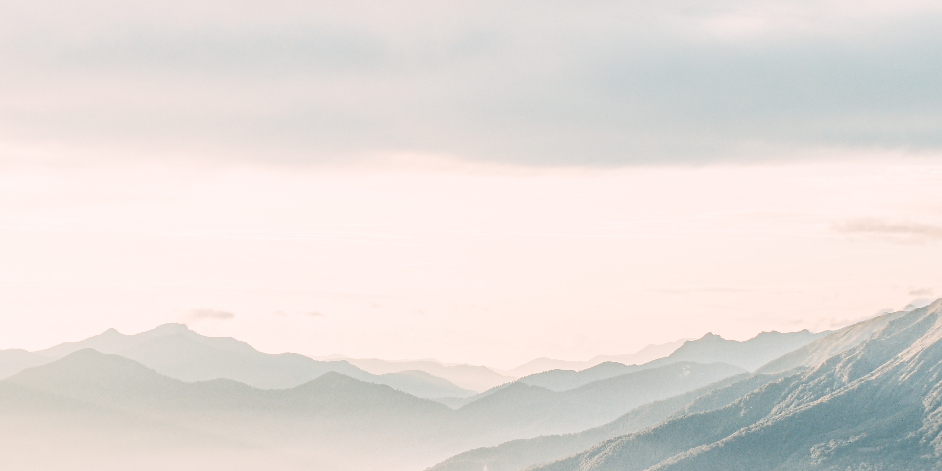 Be Well Botanics - Natural botanical landscape