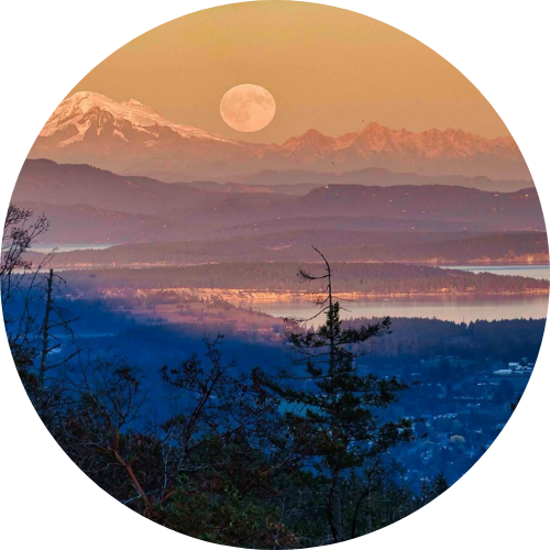 Healing from trauma with a trauma-informed approach